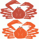 ズワイ蟹（ずわいがに）のイラスト素材