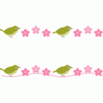 メジロと桜の花のライン飾り罫線イラスト