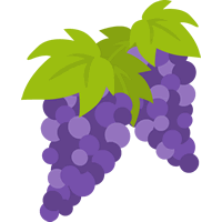 葡萄（ブドウ）のイラスト