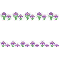 花菖蒲 杜若 はなしょうぶ あやめ かきつばた のライン飾り罫線