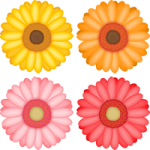 ガーベラの花のイラスト