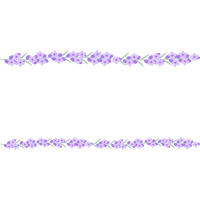 ラベンダーの花のライン飾り罫線イラスト