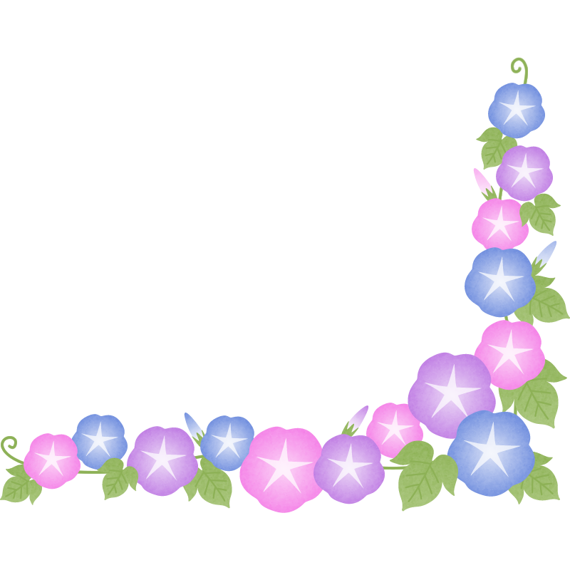 朝顔（あさがお）の花のコーナーフレーム枠イラスト
