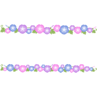 朝顔（あさがお）の花のライン飾り罫線イラスト