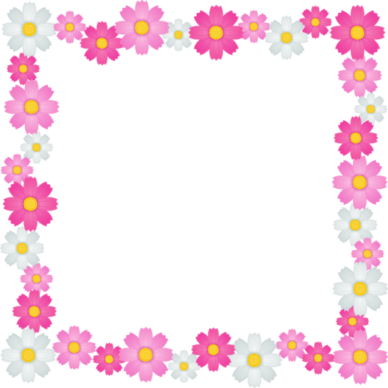 コスモスの花のフレーム囲み枠イラスト＜正方形＞