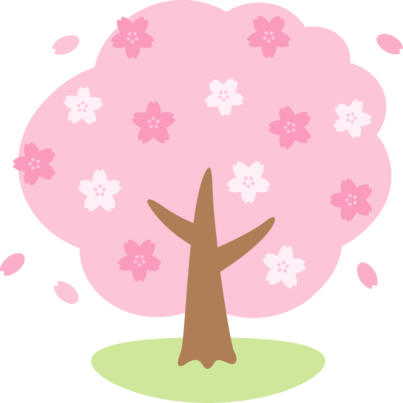 満開の桜の木のイラスト